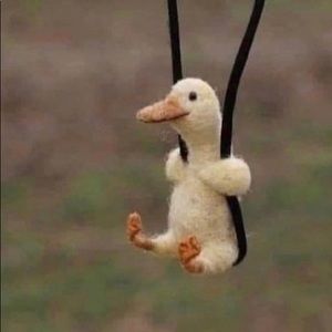 Meet your Posher, Paige